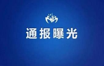 突发！上汽大众斯柯达高管被查！